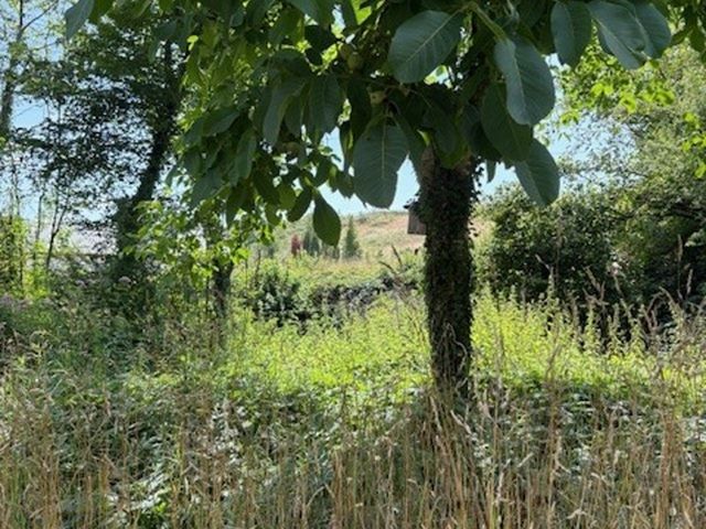 Verkaufsgegenstand - Teil der ehemaligen Westwallbunkeranlage *zwischen Trier & dem Dreiländereck Frankreich-Luxemburg-Deutschland*