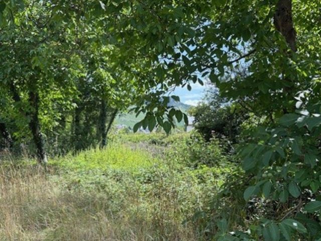 Verkaufsgegenstand - Teil der ehemaligen Westwallbunkeranlage *zwischen Trier & dem Dreiländereck Frankreich-Luxemburg-Deutschland*