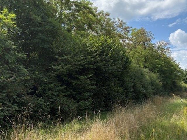 Verkaufsgegenstand - Teil der ehemaligen Westwallbunkeranlage *zwischen Trier & dem Dreiländereck Frankreich-Luxemburg-Deutschland*