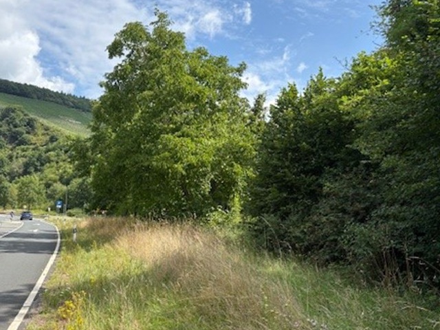 Teil der ehemaligen Westwallbunkeranlage *zwischen Trier & dem Dreiländereck Frankreich-Luxemburg-Deutschland*
