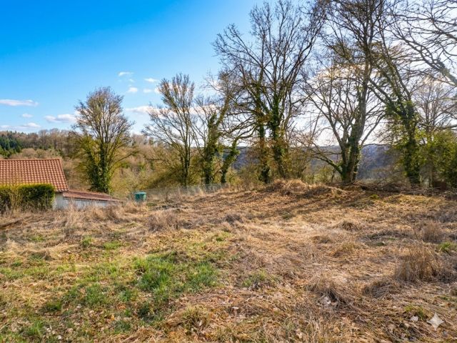 Verkaufsfläche und Umgebung - Vertragsfreies Grundstück am Waldrand und hinter Wohnhäusern **ca. 46 km von der Regensburger Innenstadt entfernt**