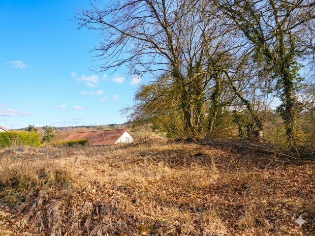 Verkaufsfläche und Umgebung - Vertragsfreies Grundstück am Waldrand und hinter Wohnhäusern **ca. 46 km von der Regensburger Innenstadt entfernt**
