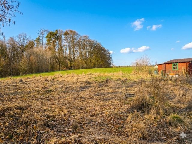 Blick auf die Verkaufsfläche und Umgebung - Vertragsfreies Grundstück am Waldrand und hinter Wohnhäusern **ca. 46 km von der Regensburger Innenstadt entfernt**