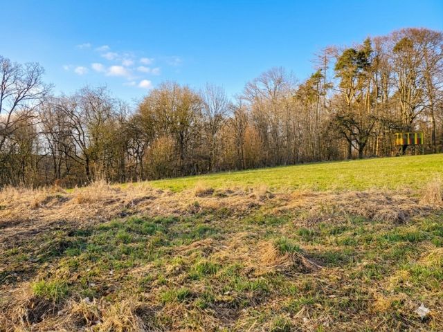 Blick auf die Verkaufsfläche und Umgebung - Vertragsfreies Grundstück am Waldrand und hinter Wohnhäusern **ca. 46 km von der Regensburger Innenstadt entfernt**