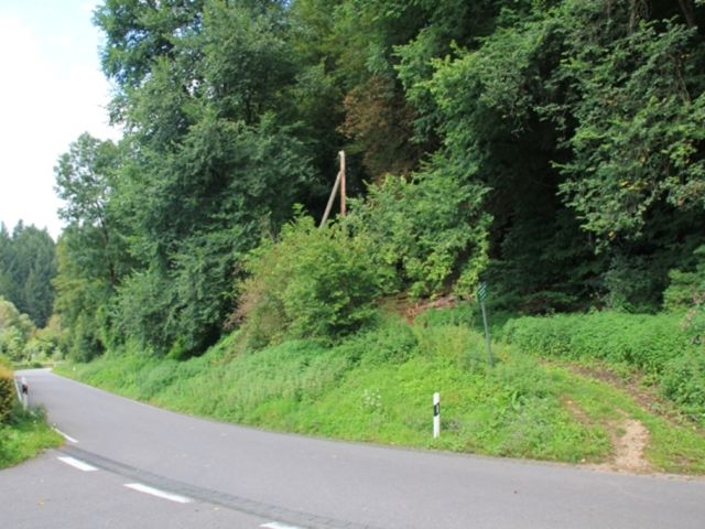 Verkaufsfläche und Umgebung (ältere Aufnahme) - Über 1,1 Hektar vertragsfreie Waldfläche **etwa 32 km nördlich vom Trierer Zentrum entfernt**