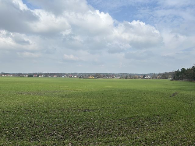 Blick in die Umgebung - Über 2 Hektar vertragsfreie Waldfläche *Lage im Lausitzer Seenland & in direkter Nachbarschaft zu einem Betriebsgelände*