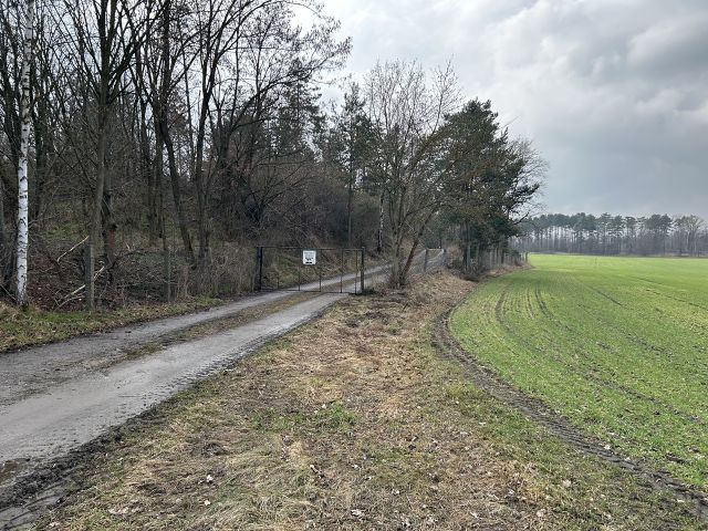 Nördlich angrenzendes Betriebsgelände - Über 2 Hektar vertragsfreie Waldfläche *Lage im Lausitzer Seenland & in direkter Nachbarschaft zu einem Betriebsgelände*