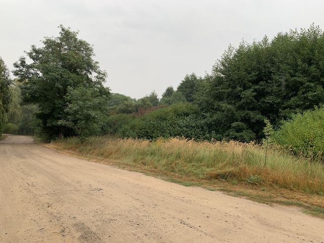 Verkaufsgegenstand und Umgebung - Vertragsfreie Waldfläche nahe dem Baggersee & dem Schloss Gusow