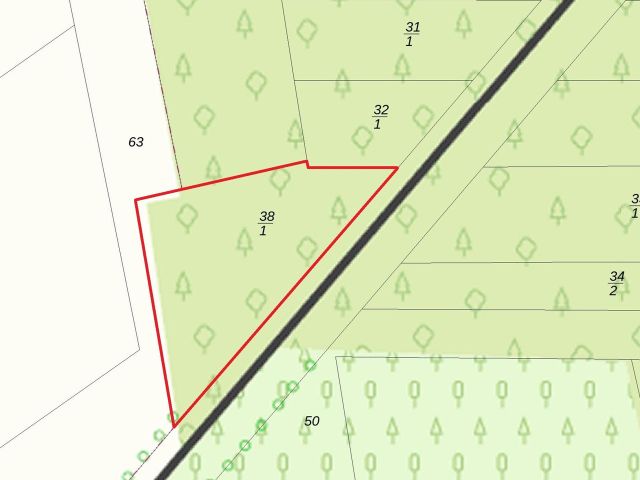 Lageskizze - Flurstück 38/1 - 2 Waldflächen im Waldgebiet ´Klinkumer Busch´ **unweit der niederländischen Landesgrenze**