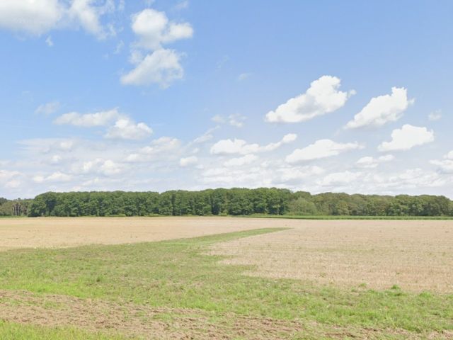 Blick Richtung Flurstück 38/1 und Umgebung - 2 Waldflächen im Waldgebiet ´Klinkumer Busch´ **unweit der niederländischen Landesgrenze**