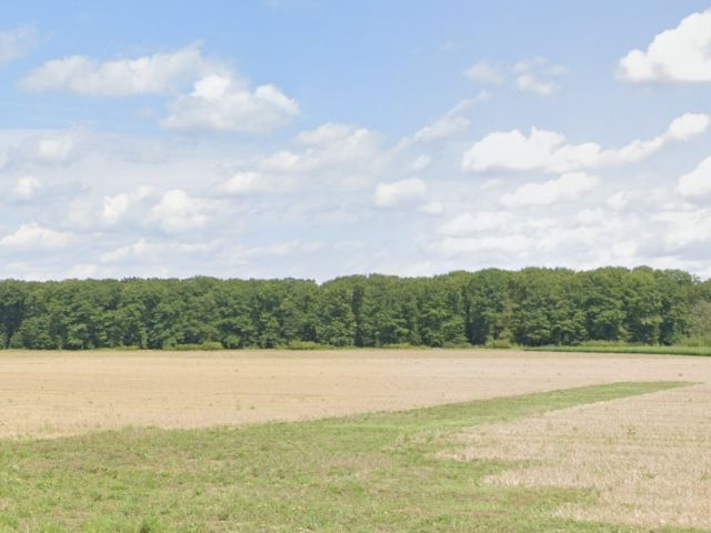 Blick Richtung Flurstück 38/1 und Umgebung - 2 Waldflächen im Waldgebiet ´Klinkumer Busch´ **unweit der niederländischen Landesgrenze**