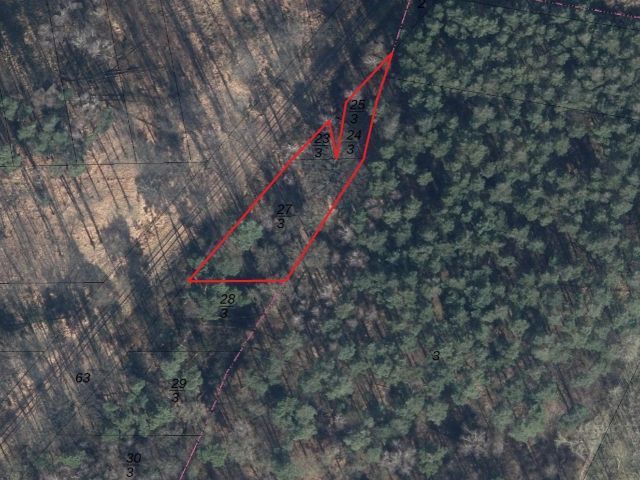 Lageskizze mit Luftbildunterlegung - Flurstücke 27/3, 23/3, 25/3 - 2 Waldflächen im Waldgebiet ´Klinkumer Busch´ **unweit der niederländischen Landesgrenze**