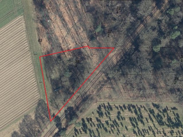 Lageskizze mit Luftbildunterlegung - Flurstück 38/1 - 2 Waldflächen im Waldgebiet ´Klinkumer Busch´ **unweit der niederländischen Landesgrenze**