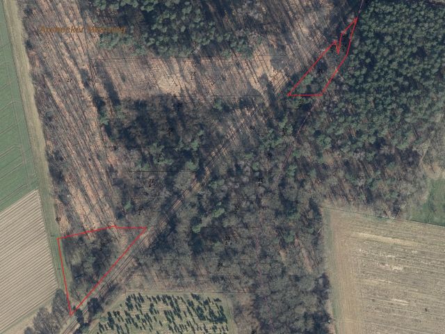 Lageskizze mit Luftbildunterlegung - 2 Waldflächen im Waldgebiet ´Klinkumer Busch´ **unweit der niederländischen Landesgrenze**