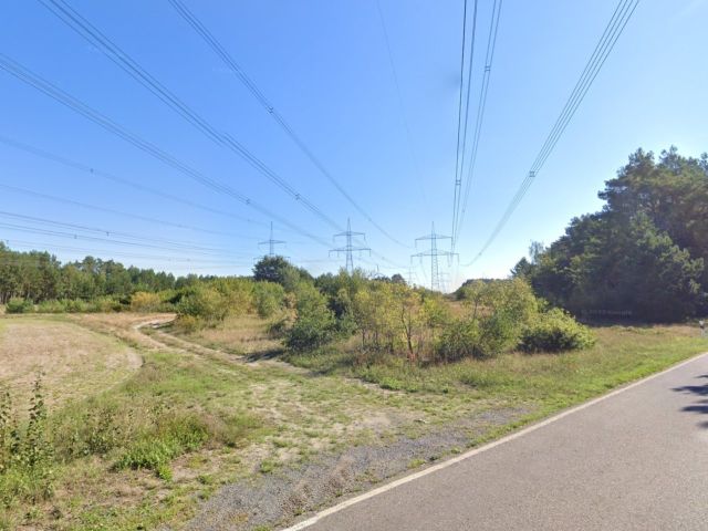 Blick auf Verkaufsfläche und Umgebung - Über 1,1 ha großes Grundstück in der Niederlausitz