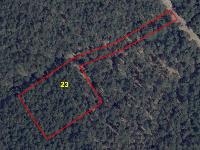 Lageskizze - Vertragsfreie Waldfläche in der Niederlausitz