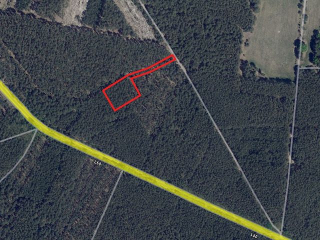 Umgebungsskizze - Vertragsfreie Waldfläche in der Niederlausitz