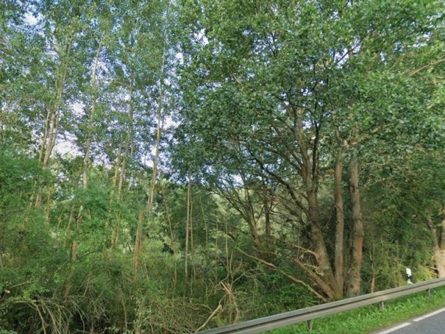 Blick auf ungefähre Lage Flurstück 1016/1 - 2 Splitterflächen mit Baum- und Strauchbewuchs ca. 150 m von der Hessischen Landesgrenze entfernt