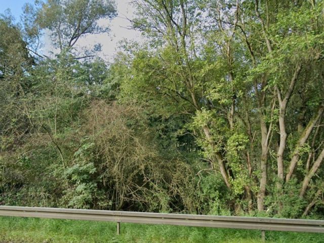 Blick auf ungefähre Lage Flurstück 1016/5 - 2 Splitterflächen mit Baum- und Strauchbewuchs ca. 150 m von der Hessischen Landesgrenze entfernt