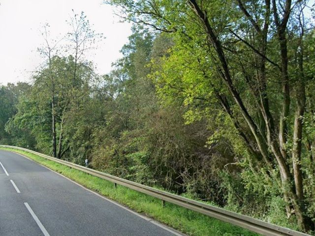 Blick auf ungefähre Lage Flurstück 1016/5 - 2 Splitterflächen mit Baum- und Strauchbewuchs ca. 150 m von der Hessischen Landesgrenze entfernt