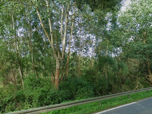 Blick auf ungefähre Lage Flurstück 1016/1 - 2 Splitterflächen mit Baum- und Strauchbewuchs ca. 150 m von der Hessischen Landesgrenze entfernt