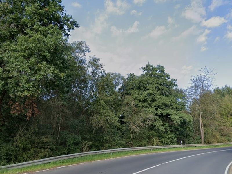 2 Splitterflächen mit Baum- und Strauchbewuchs ca. 150 m von der Hessischen Landesgrenze entfernt