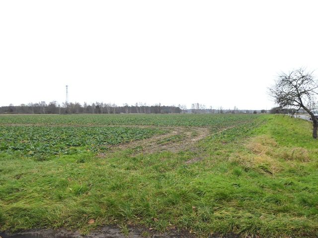 Blick auf die Umgebung von Ritze - Splitterflächen in Streulage mit insgesamt über 2,2 ha in der Altmark - teilweise bis 30.09.2029 verpachtet