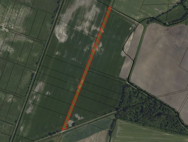 Lageskizze Flurstück 55 - Splitterflächen in Streulage mit insgesamt über 2,2 ha in der Altmark - teilweise bis 30.09.2029 verpachtet