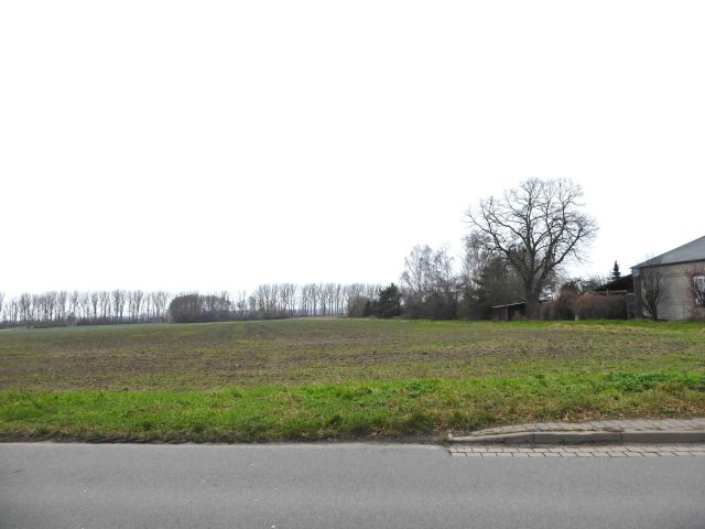Blick auf Flur 3 und auf die Umgebung - Splitterflächen in Streulage mit insgesamt über 2,2 ha in der Altmark - teilweise bis 30.09.2029 verpachtet