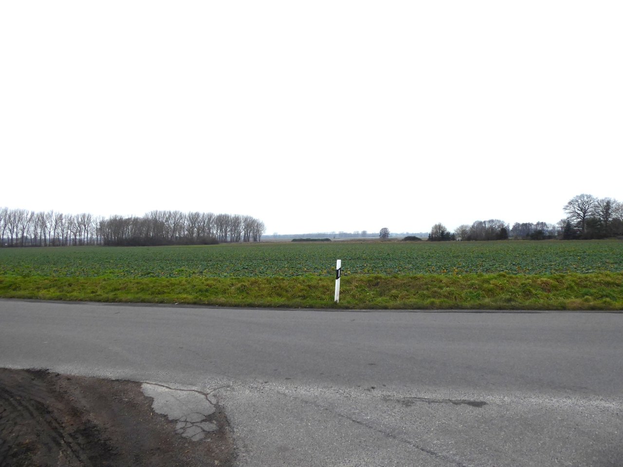 Splitterflächen in Streulage mit insgesamt über 2,2 ha in der Altmark - teilweise bis 30.09.2029 verpachtet