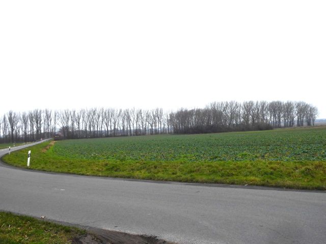 Ansicht Straße K1002 nach Salzwedel und auf die Umgebung - Splitterflächen in Streulage mit insgesamt über 2,2 ha in der Altmark - teilweise bis 30.09.2029 verpachtet