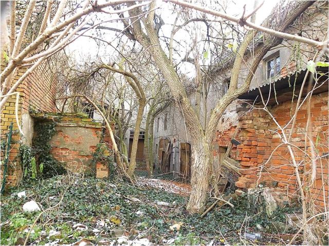 Rückseite des Verkaufsobjektes - Denkmalgeschütztes, ruinöses Wohn- und Geschäftshaus mit Nebengebäuden gegenüber der Stadtkirche St. Marien