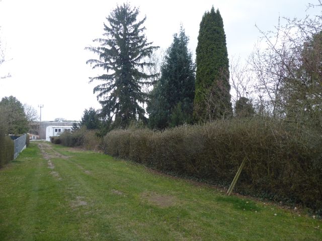 Blick auf Verlängerung der Straße Alte Siedlung - Verkaufsfläche rechte Seite - Teilweise vertraglich genutztes Gartengrundstück mit Altbebauung teilweise im Fremdeigentum ca. 4 km nördlich von Halle (Saale)