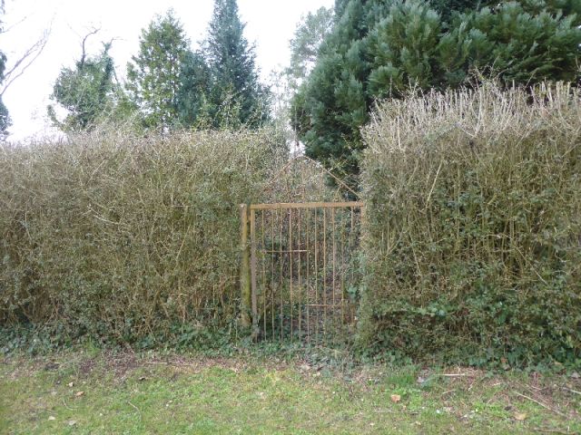Zugang zur Verkaufsfläche - Teilweise vertraglich genutztes Gartengrundstück mit Altbebauung teilweise im Fremdeigentum ca. 4 km nördlich von Halle (Saale)