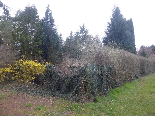 Blick auf südöstliche Grundstücksecke Verkaufsfläche - Teilweise vertraglich genutztes Gartengrundstück mit Altbebauung teilweise im Fremdeigentum ca. 4 km nördlich von Halle (Saale)