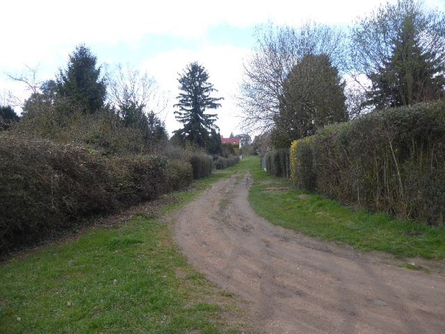 Blick auf Verlängerung der Straße Alte Siedlung - Verkaufsfläche linke Seite - Teilweise vertraglich genutztes Gartengrundstück mit Altbebauung teilweise im Fremdeigentum ca. 4 km nördlich von Halle (Saale)