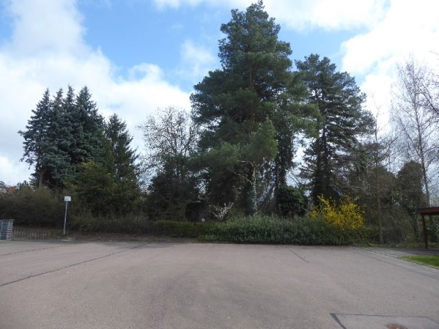 Blick von der Wendeschleife Schulstraße Richtung Verkaufsfläche westlicher Bereich und auf die Umgebung - Teilweise vertraglich genutztes Gartengrundstück mit Altbebauung teilweise im Fremdeigentum ca. 4 km nördlich von Halle (Saale)