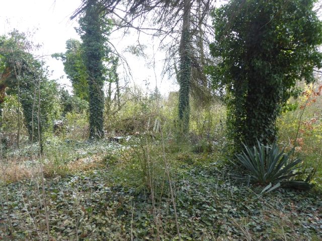 Blick auf Verkaufsfläche und Umgebung - Teilweise vertraglich genutztes Gartengrundstück mit Altbebauung teilweise im Fremdeigentum ca. 4 km nördlich von Halle (Saale)
