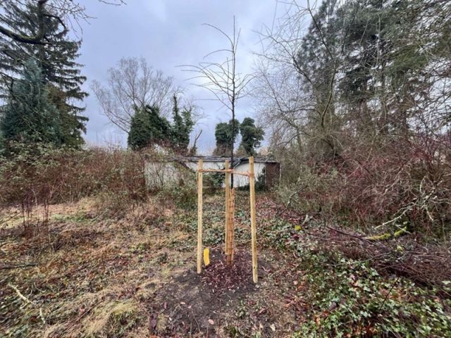 Blick auf Verkaufsfläche mit Bebauung zum Verkaufsgegenstand - Teilweise vertraglich genutztes Gartengrundstück mit Altbebauung teilweise im Fremdeigentum ca. 4 km nördlich von Halle (Saale)