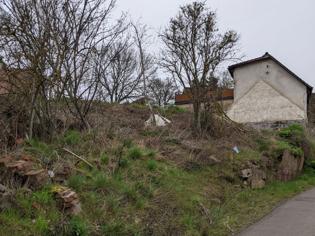 Blick auf die Verkaufsfläche und die Umgebung (Aufnahme 2023) - Kleines, ehemals bebautes Grundstück **im Stadtgebiet von Hettstedt**