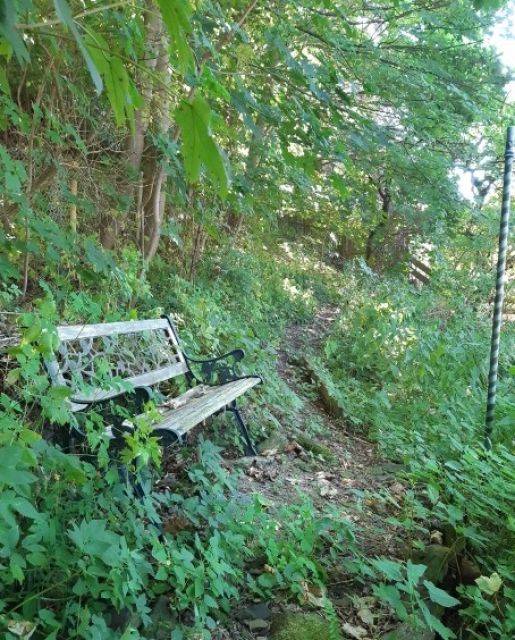 Blick auf die obere Teilfläche des Verkaufsgegenstandes - Gartengrundstück mit kleinem Holzgartenhäuschen im Erholungsort Kleinschmalkalden im Thüringer Wald ** lt. FNP Mischgebiet