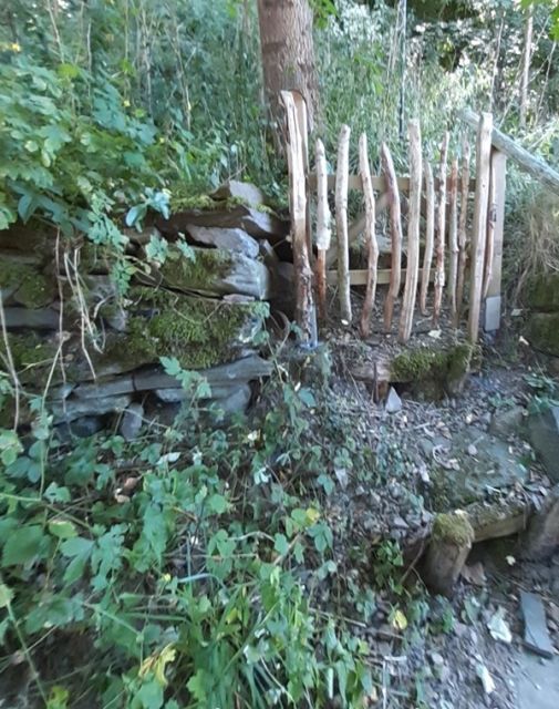 Blick auf die obere Teilfläche des Verkaufsgegenstandes - Gartengrundstück mit kleinem Holzgartenhäuschen im Erholungsort Kleinschmalkalden im Thüringer Wald ** lt. FNP Mischgebiet