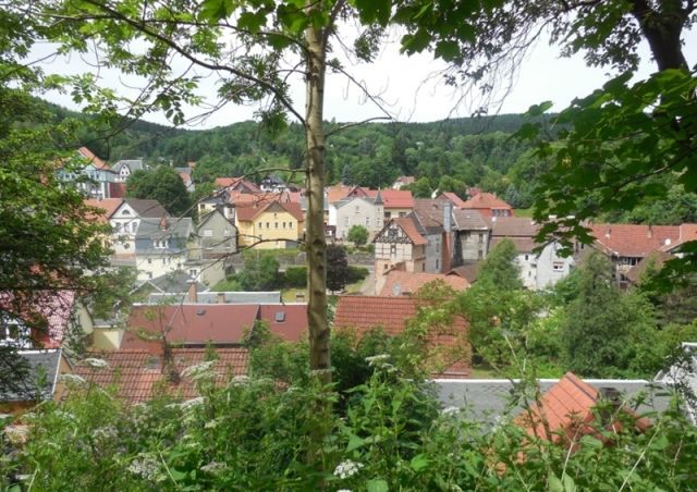 Blick vom Objekt - Gartengrundstück mit kleinem Holzgartenhäuschen im Erholungsort Kleinschmalkalden im Thüringer Wald ** lt. FNP Mischgebiet