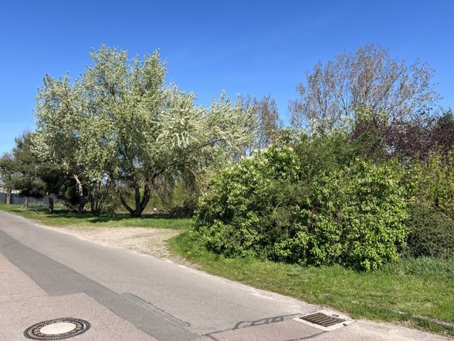 Blick auf Verkaufsfläche und Umgebung - Vertragsfreies, naturbelassenes Grundstück am Weiher ´Schachtloch´ in Döllnitz nahe der Stadtgrenze von Halle (Saale)