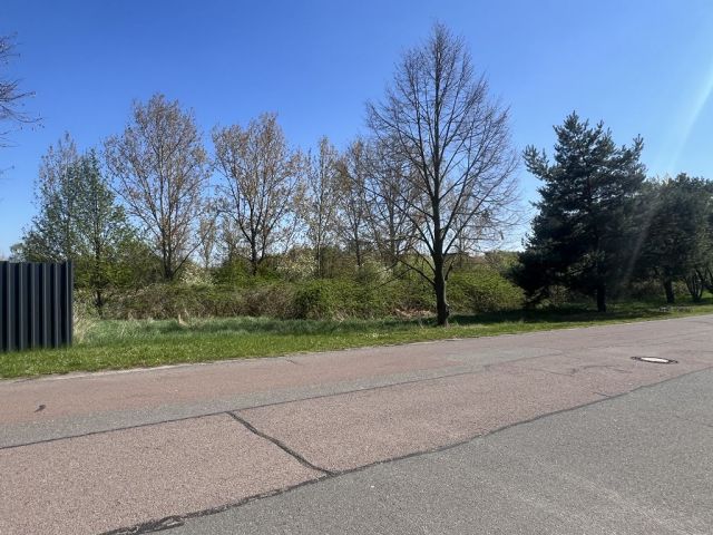 Blick auf Verkaufsfläche und Umgebung - Vertragsfreies, naturbelassenes Grundstück am Weiher ´Schachtloch´ in Döllnitz nahe der Stadtgrenze von Halle (Saale)
