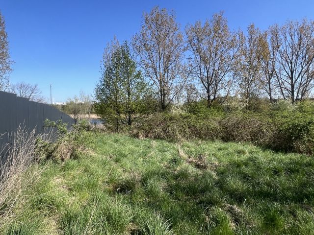 Blick auf Verkaufsfläche und Umgebung - Vertragsfreies, naturbelassenes Grundstück am Weiher ´Schachtloch´ in Döllnitz nahe der Stadtgrenze von Halle (Saale)
