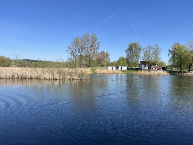 Blick auf den Weiher 