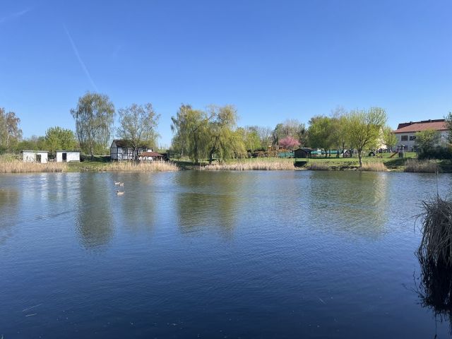 Blick auf den Weiher 