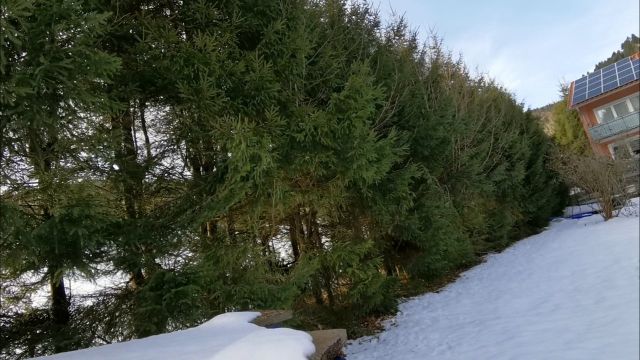 Blick auf Verkaufsfläche und Umgebung - Großes Grundstück neben Wohnbebauung ** idyllische Lage am Rande des Südschwarzwaldes und ca. 30 km von Basel entfernt