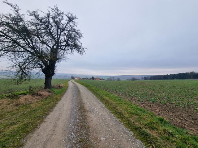 Blick in die Umgebung - 1/2 Miteigentumsanteil an einer verpachteten Landwirtschaftsfläche nordöstlich der Kleinsiedlung Hetzeberg